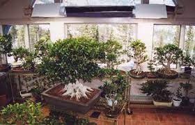 LED Grow Lights vs. Metal Halide (MH) Grow Lights: Which is Best?