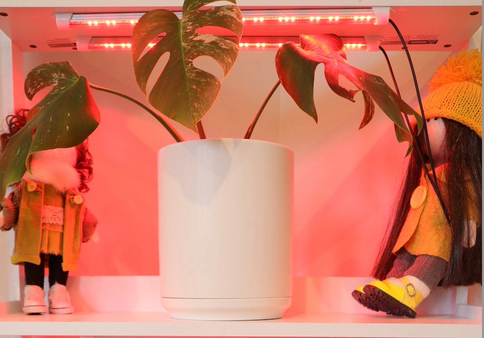 How much money can I save by switching to LED Grow lights?