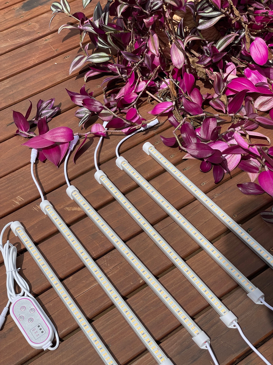 How to Use LED Grow Lights to Propagate Cuttings