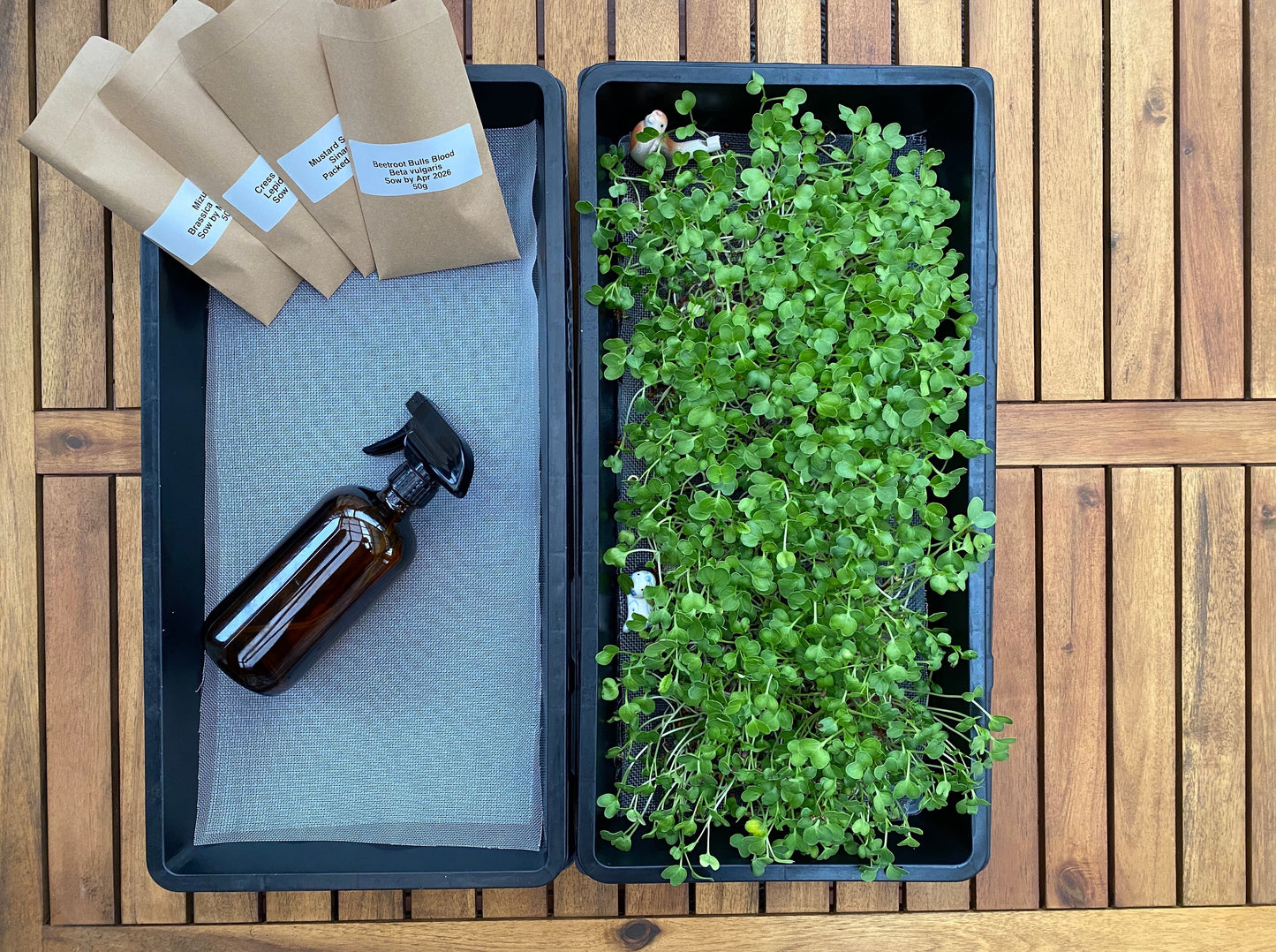 Hydroponic Microgreen Kit Set with Reusable Mesh Medium
