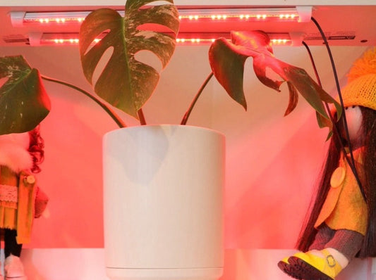 T5 LED Bar Grow Light Daisy Chain 4 Tubes Red+Blue+Warm White