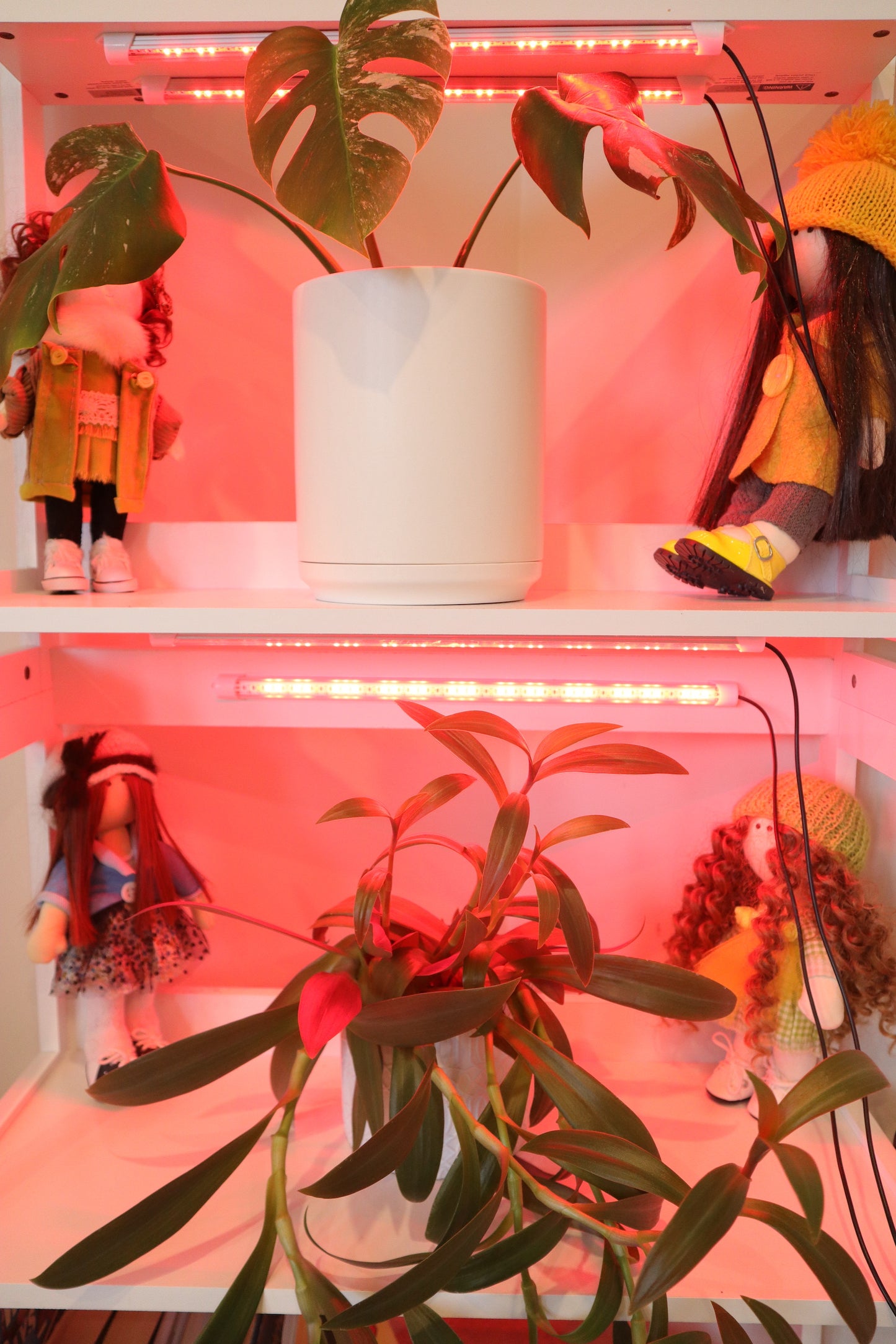T5 LED Bar Grow Light (Full Spectrum)