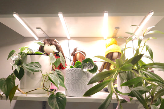 T5 LED Bar Grow Light Daisy Chain 6 Tubes Pure + Warm White