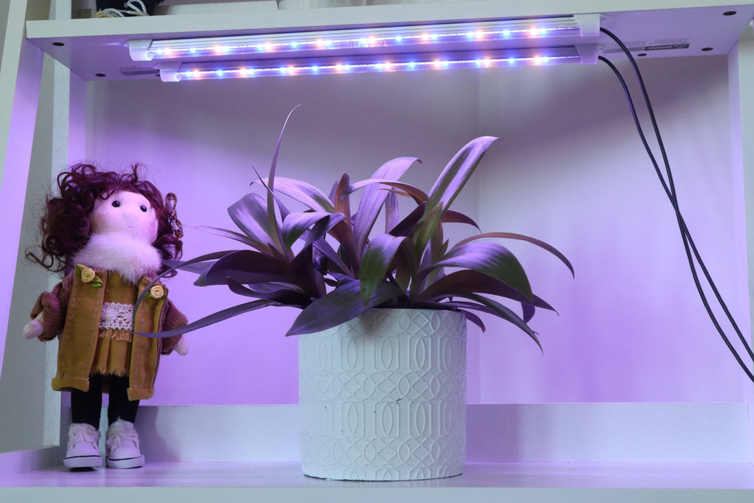 Why a Blue-Red-White T5 LED Grow Light Still Has a Clear Role in 2026